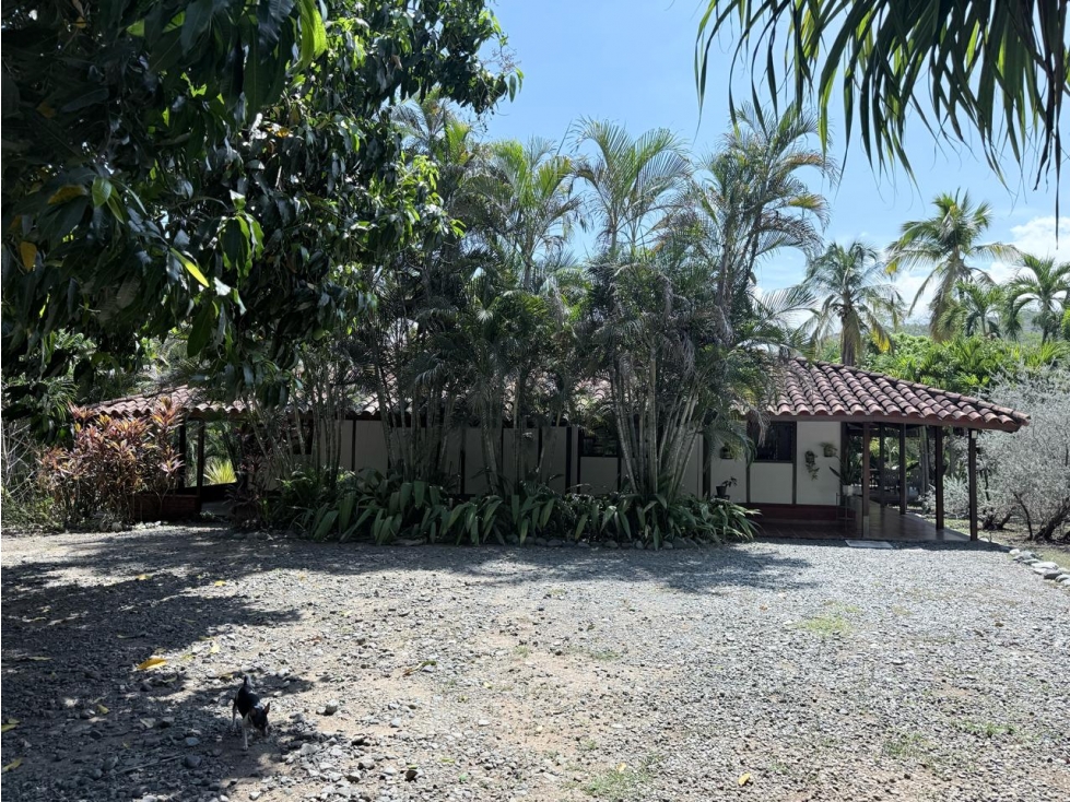 VENDO FINCA EN SANTA FE DE ANTIOQUIA EN PARCELACION ENTORNO TRANQUILO — foto 5