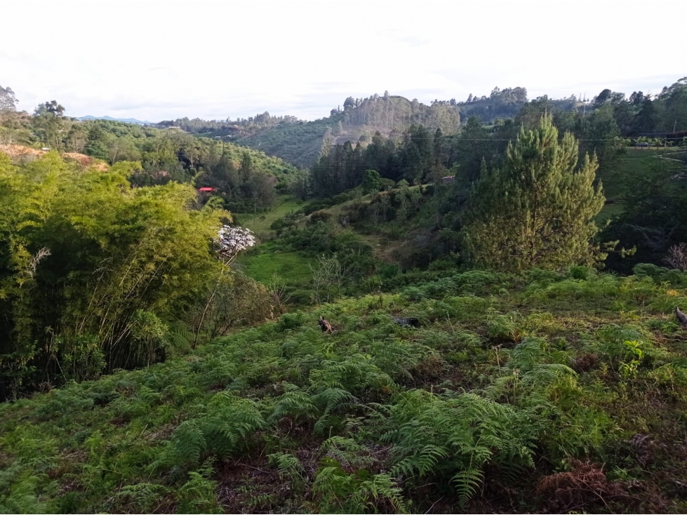 LOTE EN VENTA VEREDA ALTO DE LA COMPAÑÍA, SAN VICENTE FERRER. — foto 6