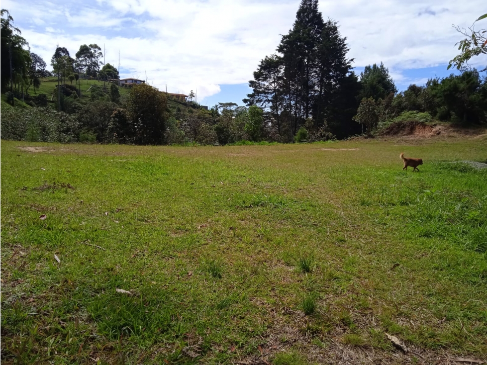 VENDO LOTE EN GUARNE — foto 6