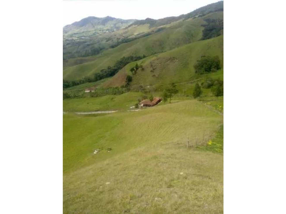 VENDO FINCA AGRÍCOLA DE 2 HECTÁREAS EN SONSÓN ANTIOQUIA - 6