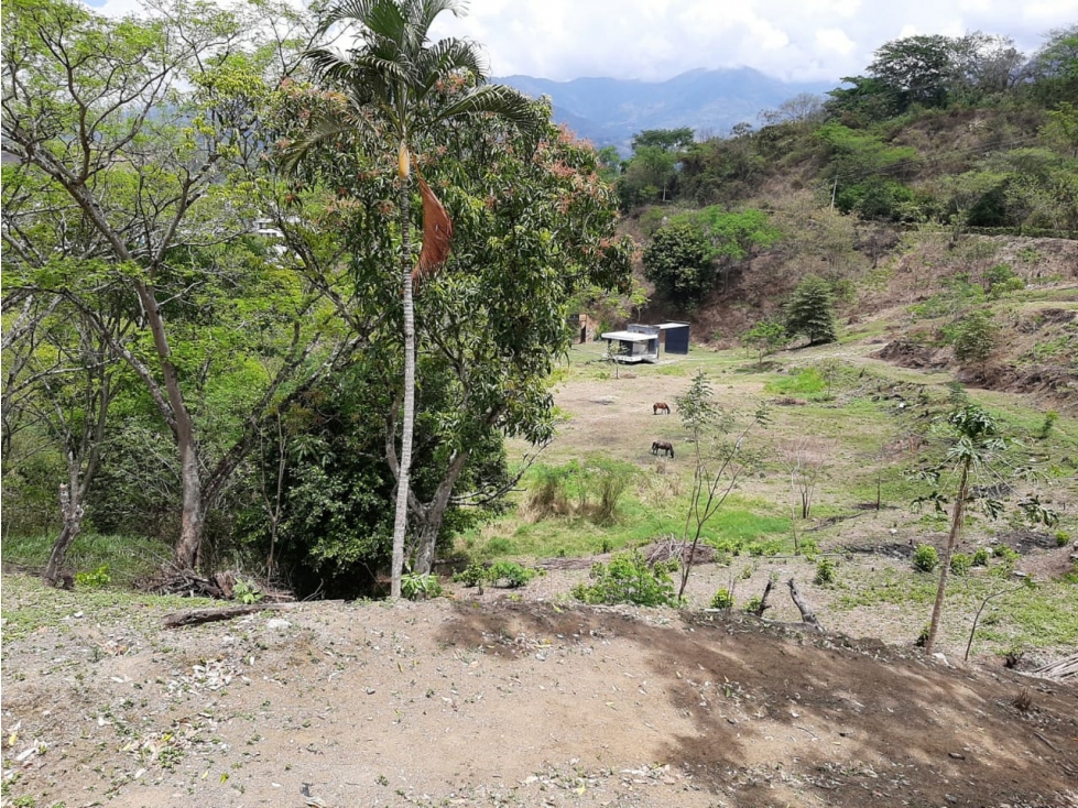 VENTA DE PREDIO EN SAN JERONIMO ANTIOQUIA - 5