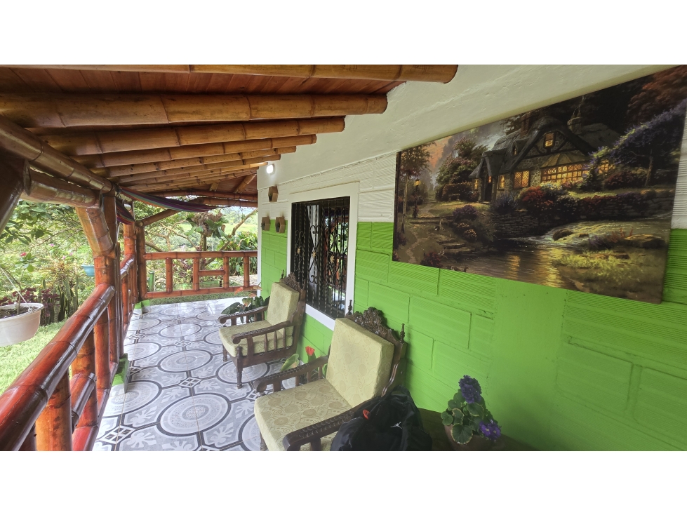 SE VENDE FINCA EN YOLOMBÓ - 4