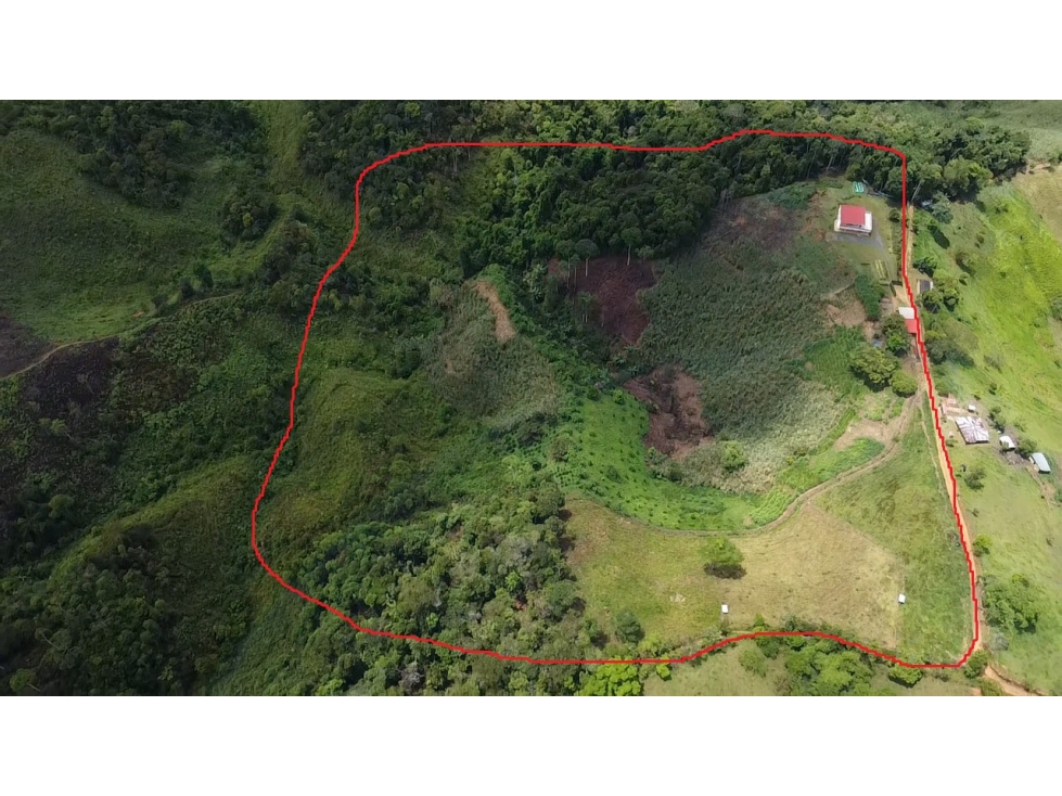 SE VENDE FINCA EN YOLOMBO - 4