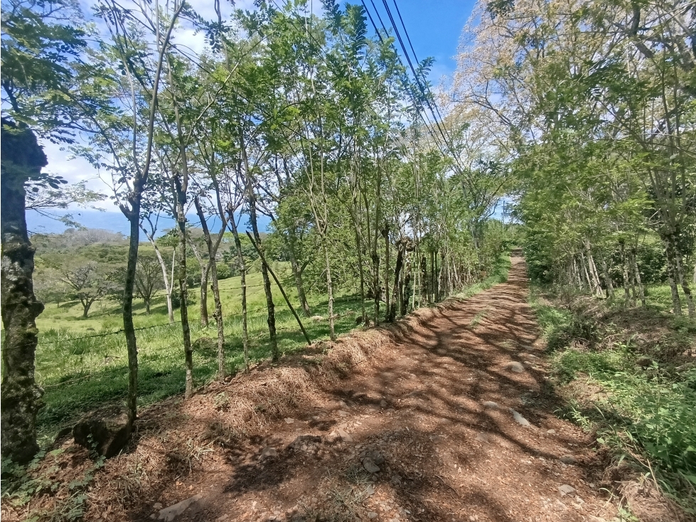 VENDO LOTE SUBURBANO EN LA PINTADA DE 84.912 m² USO DE SUELO MIXTO — foto 4