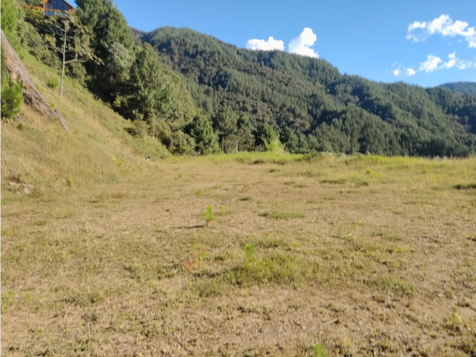 LOTE CON INCREIBLE VISTA EN VENTA EN EL SALADO ENVIGADO AJ — foto 3