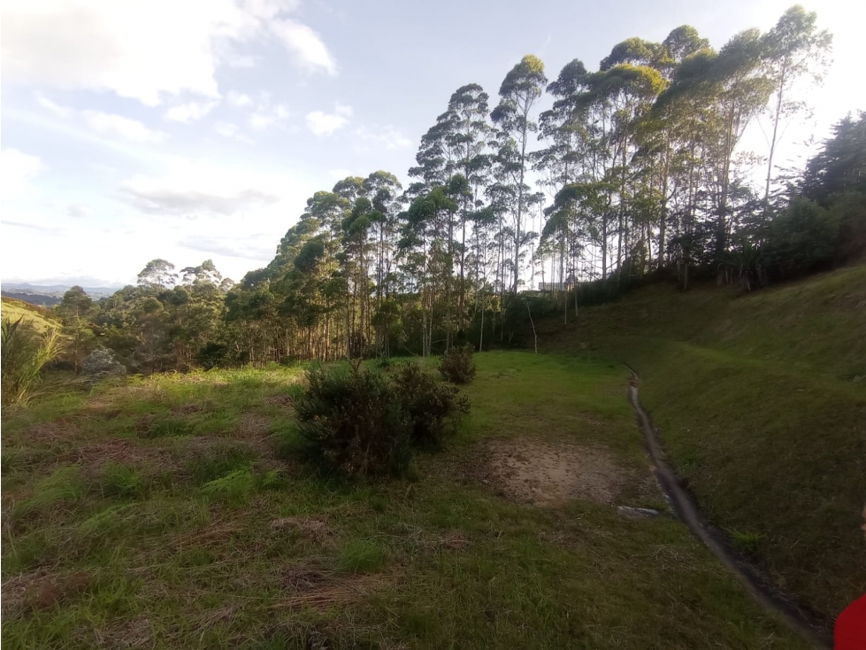 LOTE EN VENTA VEREDA ALTO DE LA COMPAÑÍA, SAN VICENTE FERRER, ANT. — foto 6