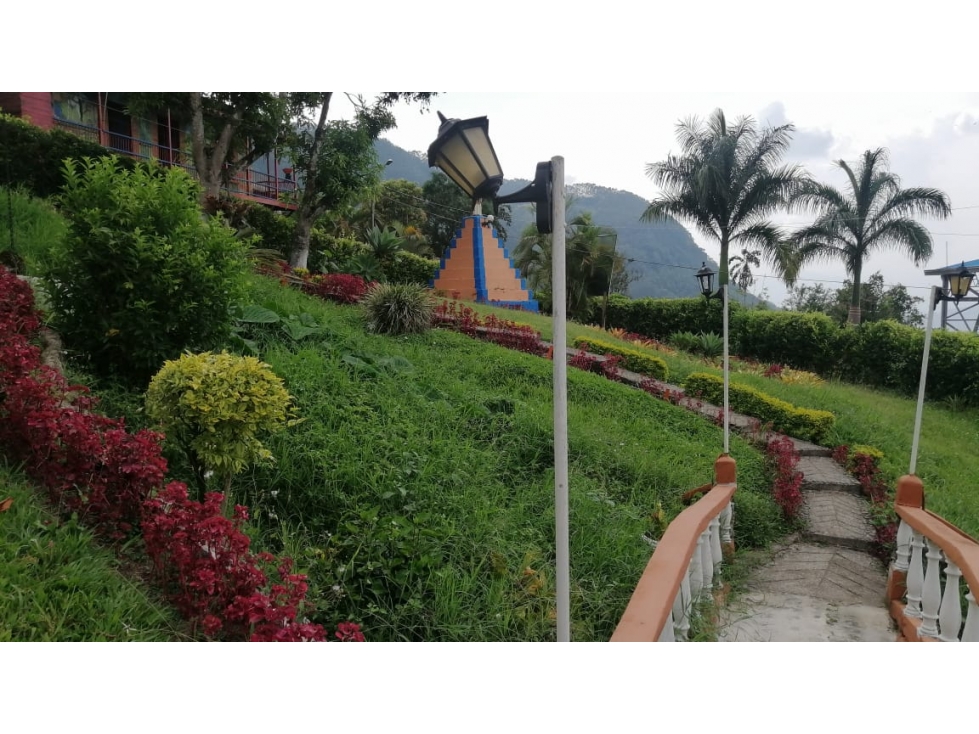 SE VENDE FINCA DE DESCANSO EN EL MUNICIPIO DE VENECIA — foto 6