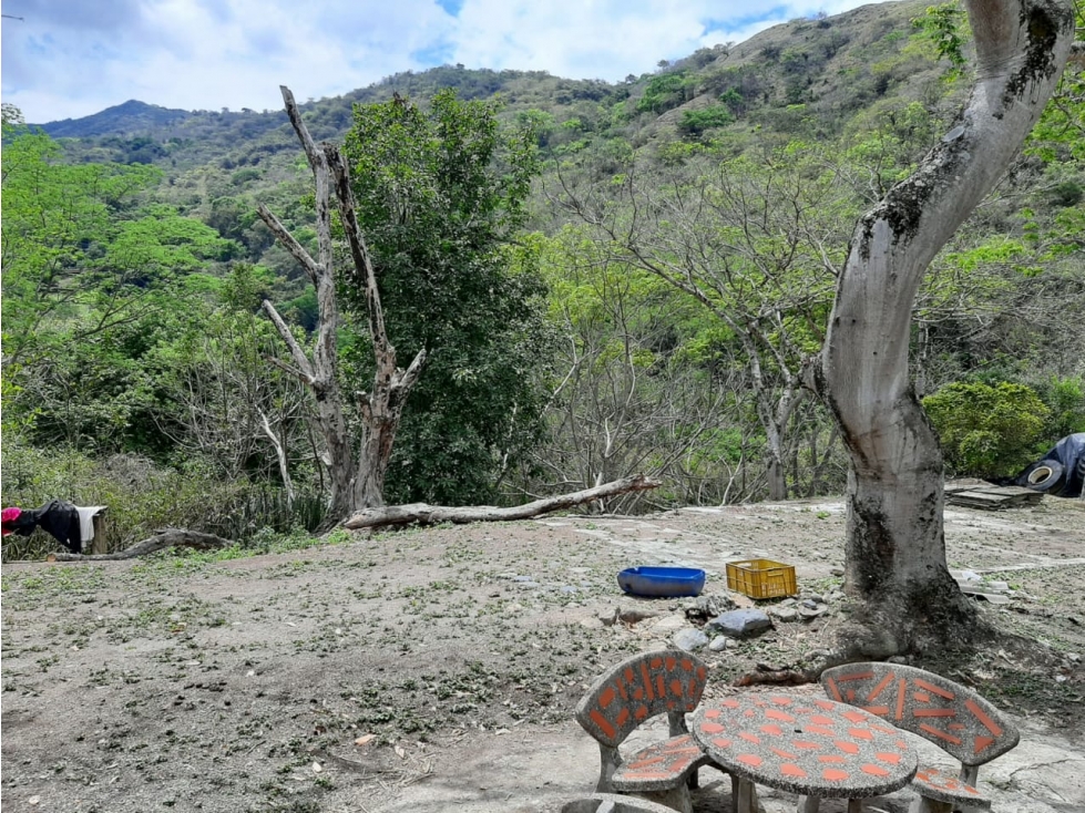 VENTA DE PREDIO EN SAN JERONIMO ANTIOQUIA - 6