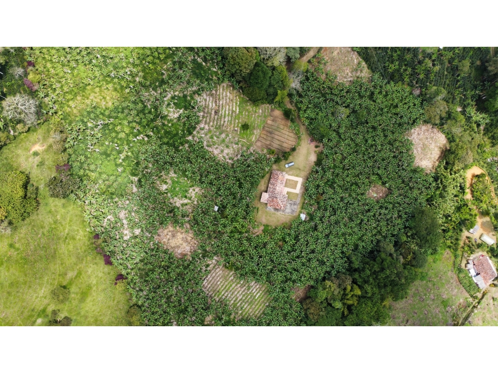 FINCA EN VENTA PARA GANADERÍA EN JERICO ANT - 2