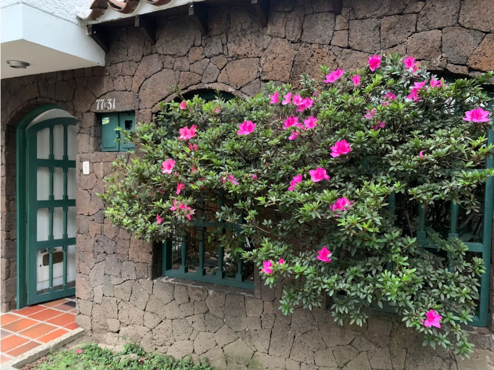 SE VENDE CASA LOTE EN LAURELES SECTOR ESTADIO