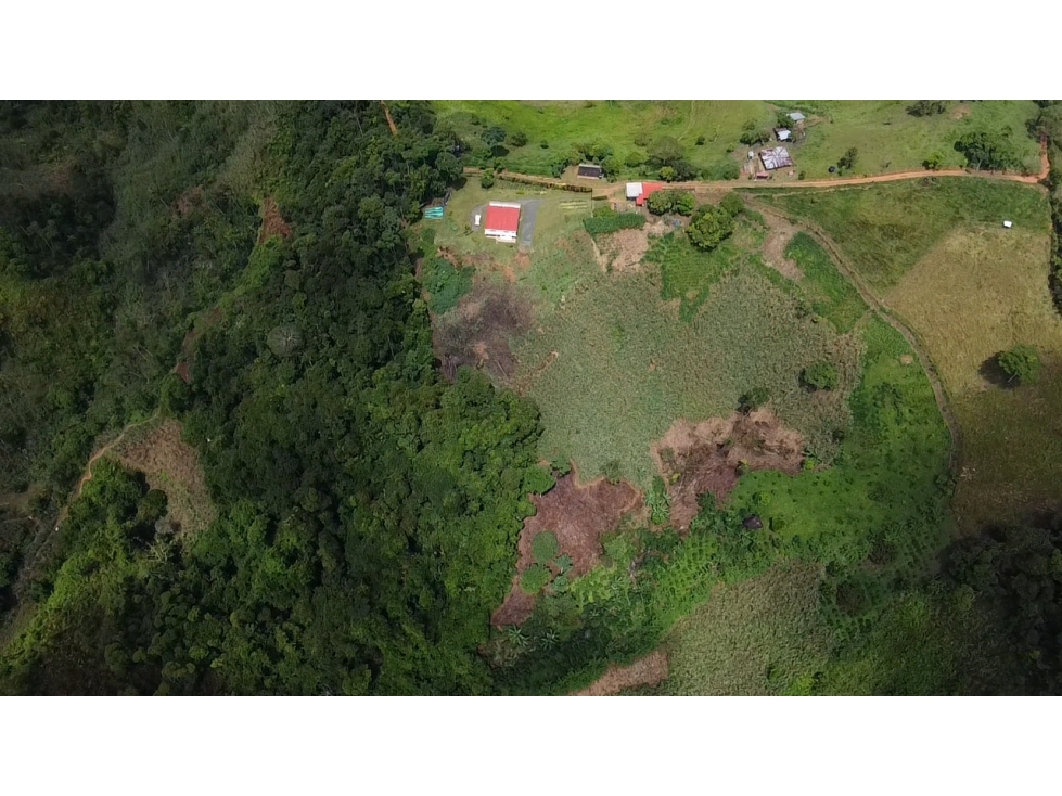 SE VENDE FINCA EN YOLOMBO - 5