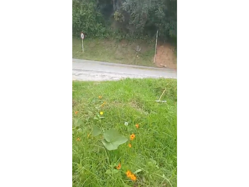 3 PROPIEDADES EN VENTA VERSALLES ANTIOQUIA ZONA URBANA — foto 4