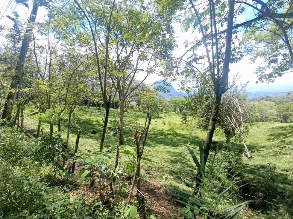 VENDO LOTE SUBURBANO EN LA PINTADA DE 84.912 m² USO DE SUELO MIXTO — foto 5