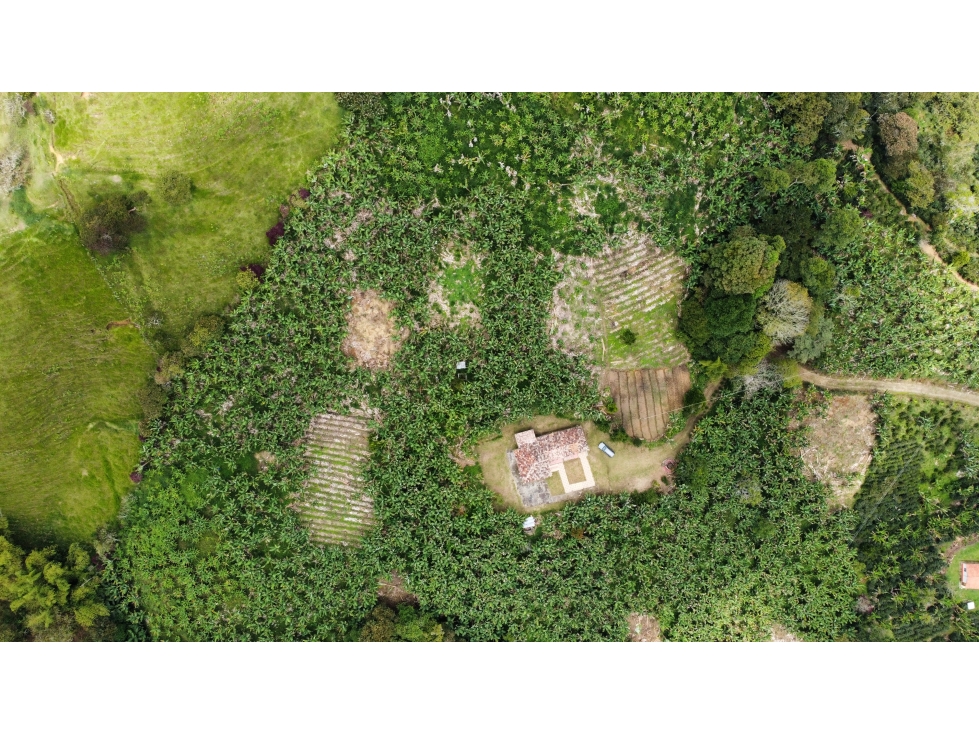 FINCA EN VENTA PARA GANADERÍA EN JERICO ANT - 6