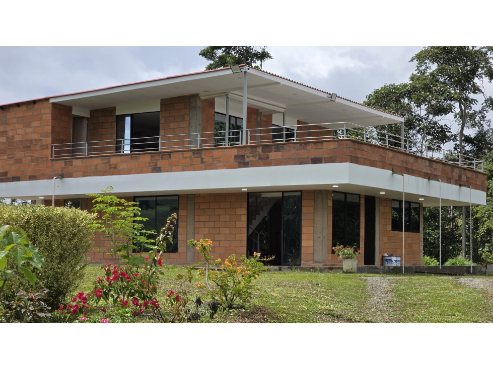 SE VENDE FINCA EN YOLOMBO - 6