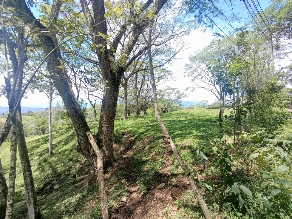 VENDO LOTE SUBURBANO EN LA PINTADA DE 84.912 m² USO DE SUELO MIXTO — foto 6