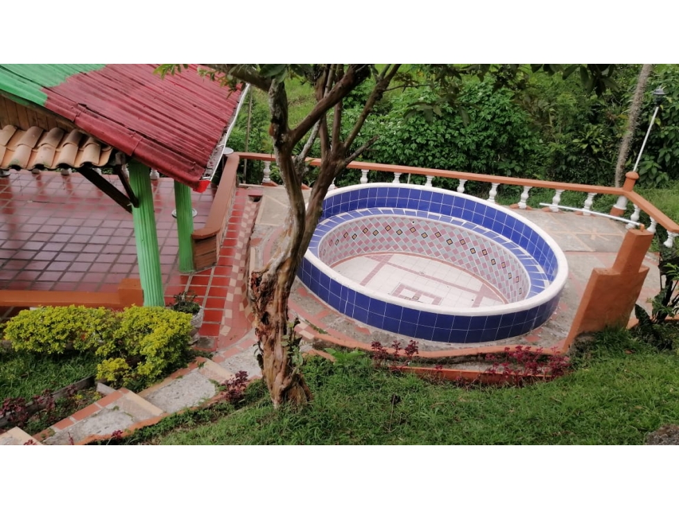 SE VENDE FINCA DE DESCANSO EN EL MUNICIPIO DE VENECIA — foto 4