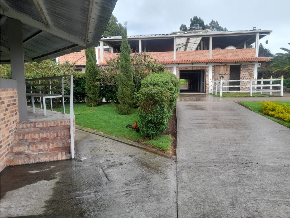 vendo finca turistica comercial, ganadería y criadero de caballos - 6
