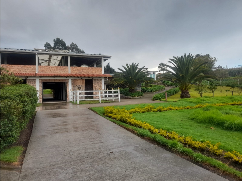 vendo finca turistica comercial, ganadería y criadero de caballos - 3