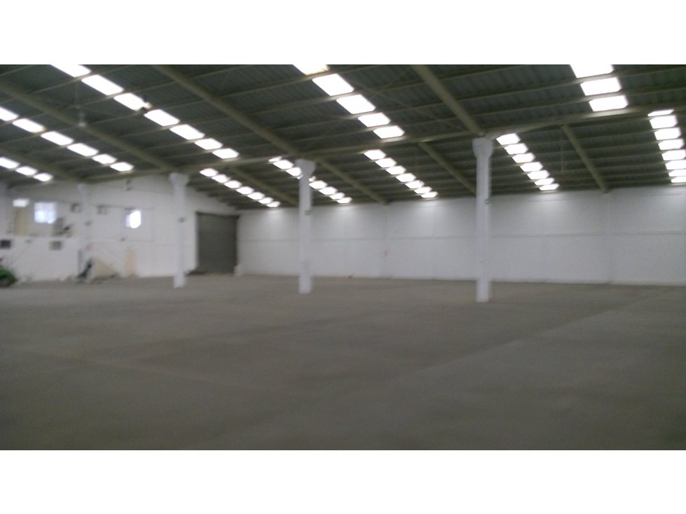 Bodega Industrial - 4