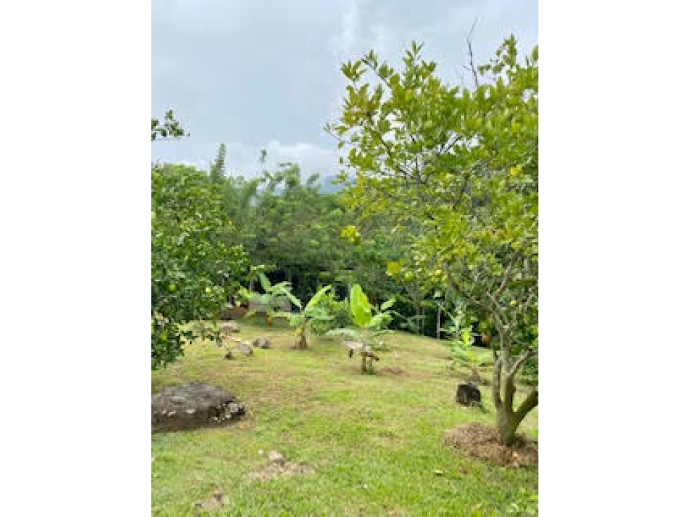 VENTA FINCA RECREATIVA RENTABLE EN IBAGUE - 4