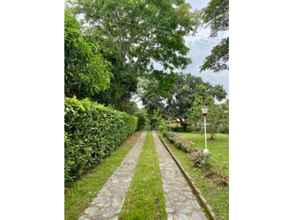 VENTA FINCA RECREATIVA RENTABLE EN IBAGUE - 2