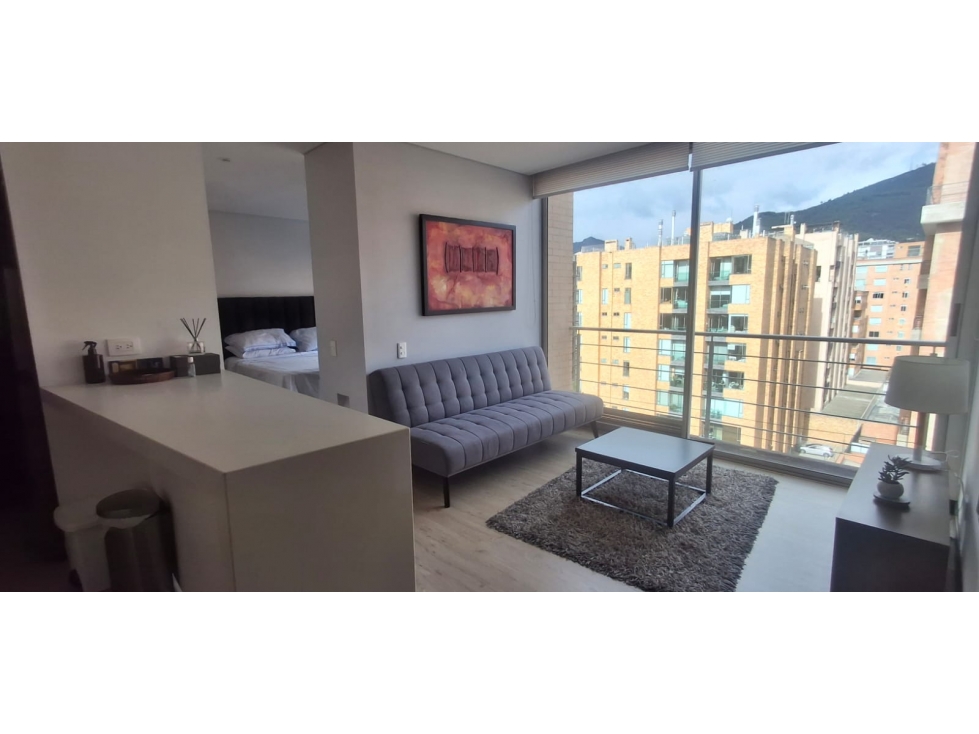ARRIENDO APARTAESTUDIO AMOBLADO CHICO — foto 2