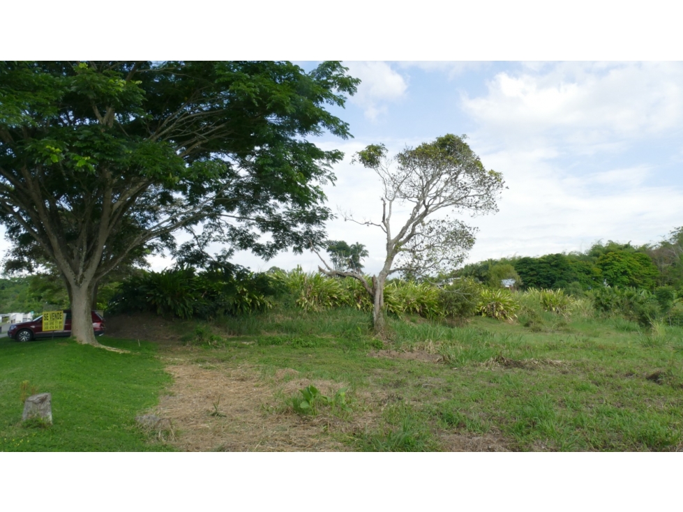 Lote en venta - Dosquebradas