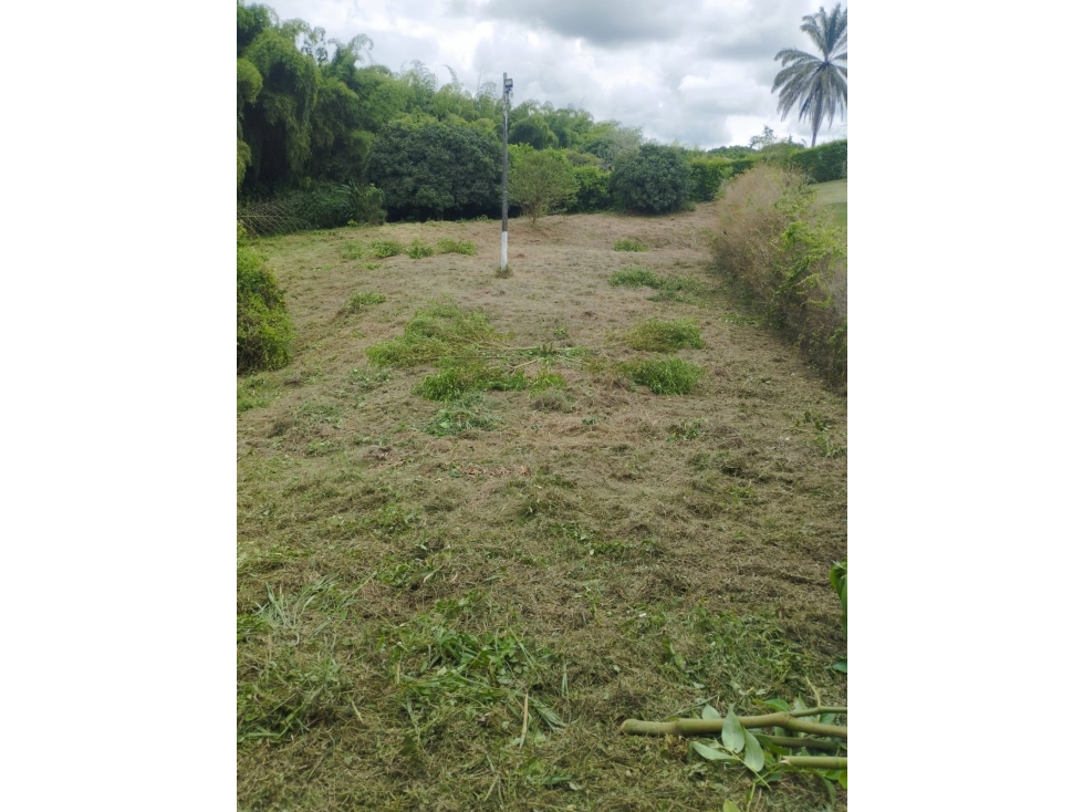 Lote en venta - Pereira - Sector Cerritos