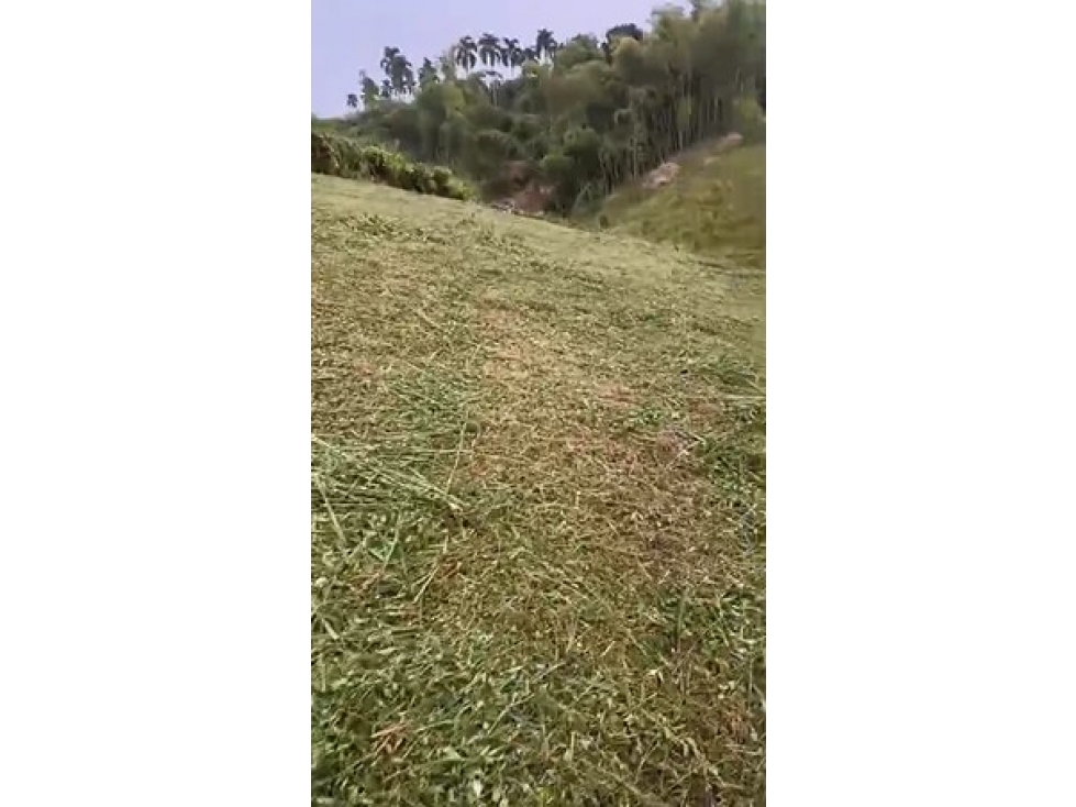Lote en venta - Pereira - Sector Cerritos — foto 3