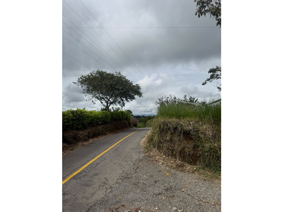 SE VENDE O SE PERMUTA LOTE EN ALCALÁ 4.000 M²
