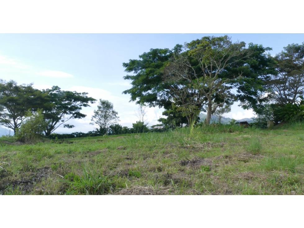 Lote en venta - Dosquebradas — foto 2