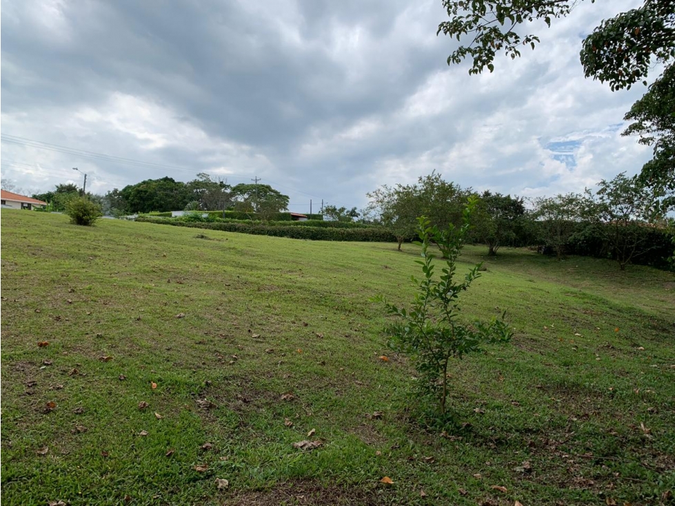 Lote en venta - Via Cerritos - 2