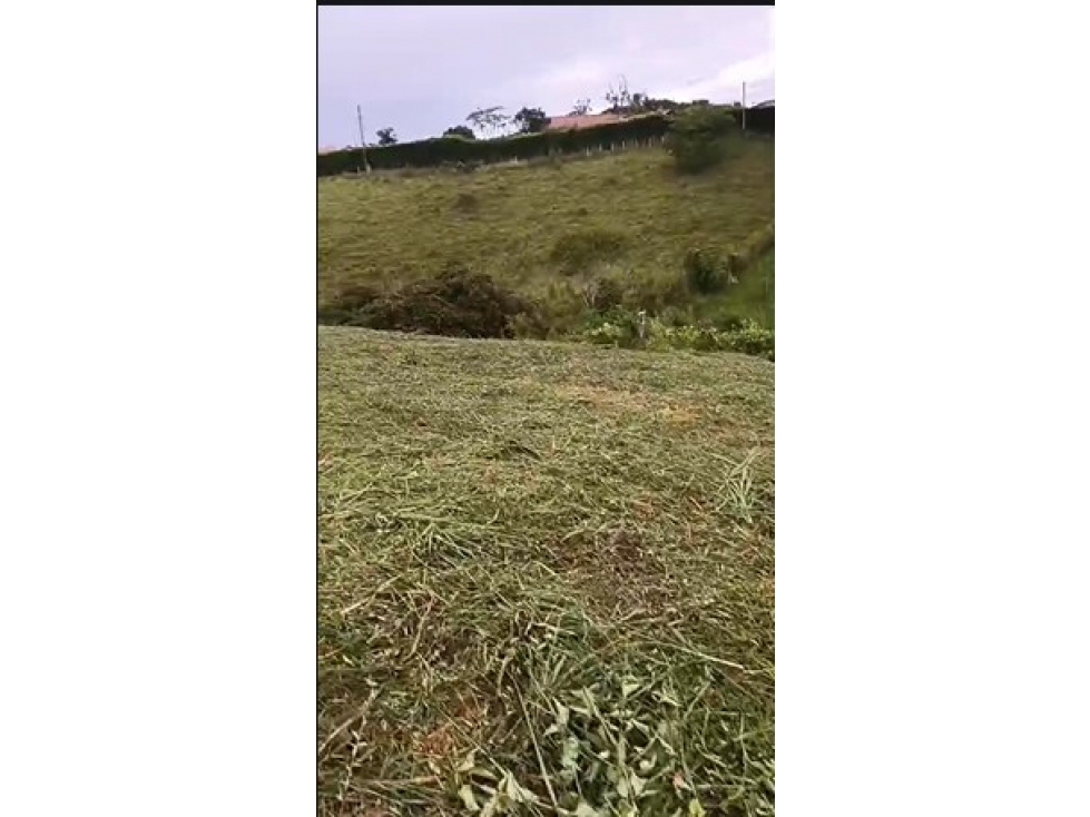 Lote en venta - Pereira - Sector Cerritos — foto 4