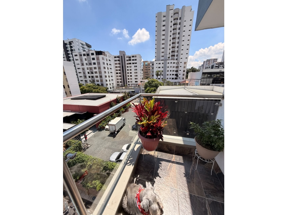 Apartamento en Venta - Pereira - Sector Pinares