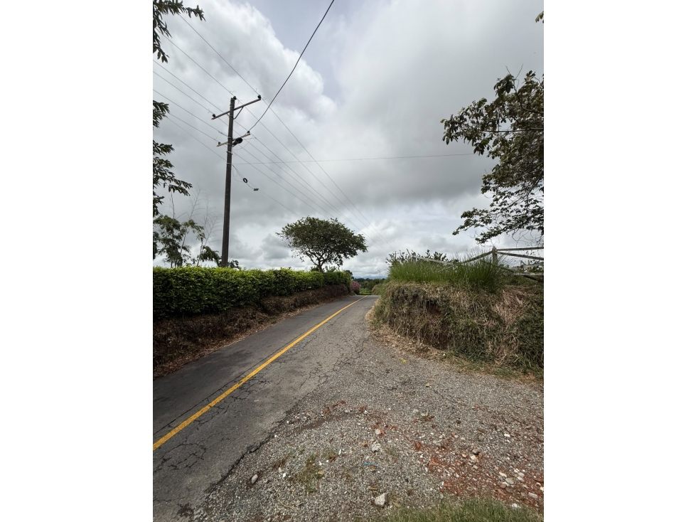 SE VENDE O SE PERMUTA LOTE EN ALCALÁ 4.000 M² — foto 2