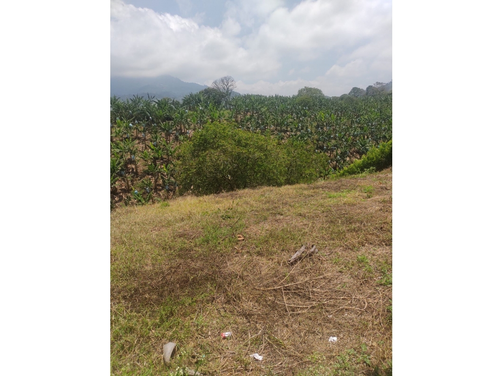 Lote en venta/ sector Combia.