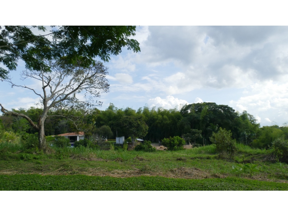 Lote en venta - Dosquebradas — foto 3
