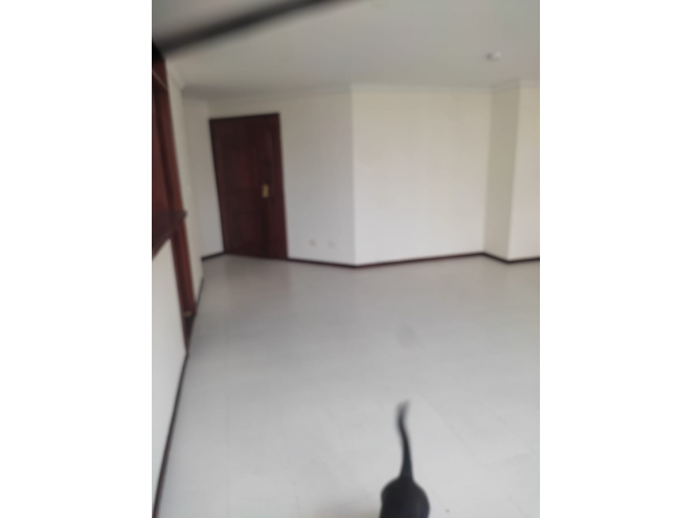 Apartamento en venta - Pereira - Sector Los Alpes — foto 4
