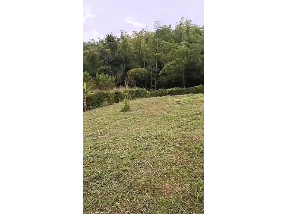 Lote en venta - Pereira - Sector Cerritos — foto 2