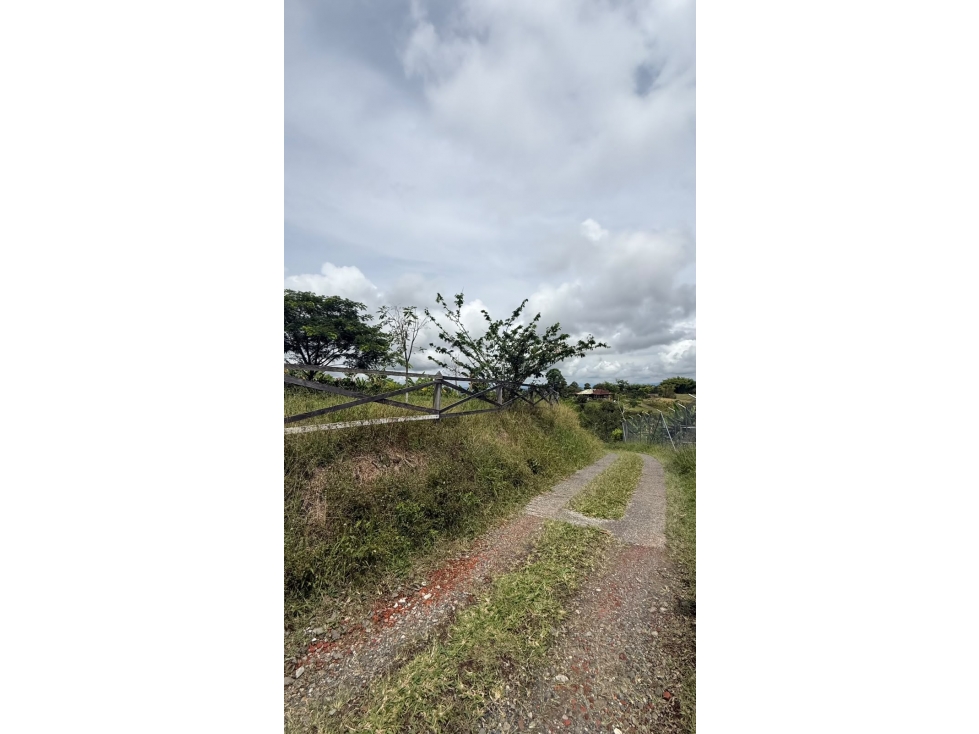 SE VENDE O SE PERMUTA LOTE EN ALCALÁ 4.000 M² — foto 3