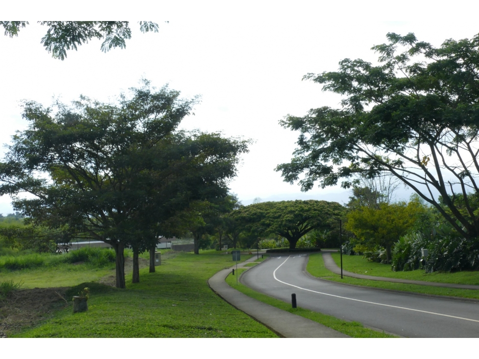 Lote en venta - Dosquebradas — foto 4