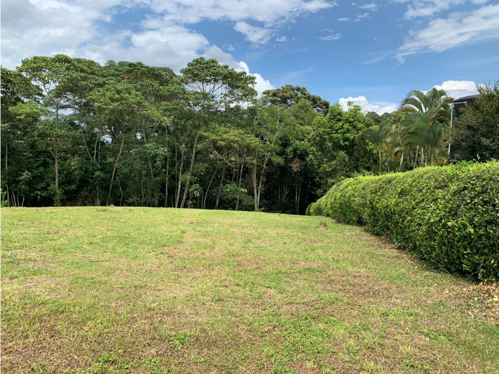 Lote en venta - Via Cerritos - 4