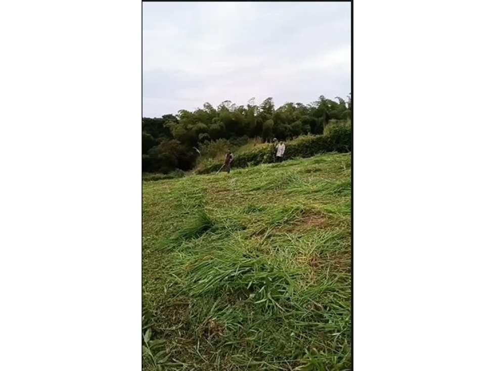 Lote en venta - Pereira - Sector Cerritos
