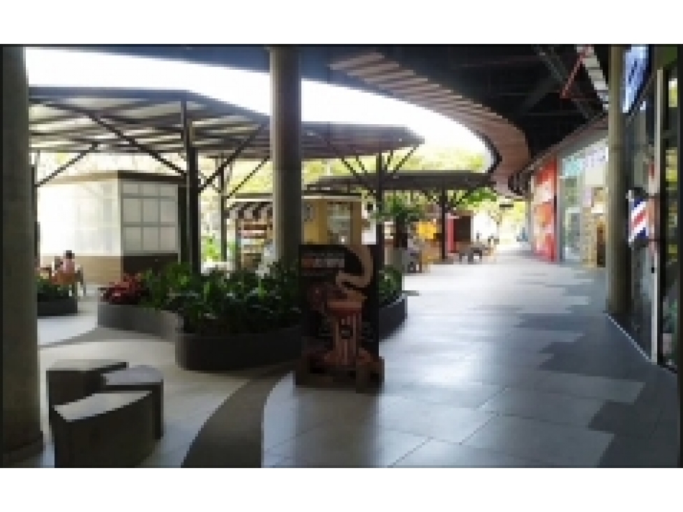 Local Comercial en Renta - Pereira - Sector Cerritos — foto 2