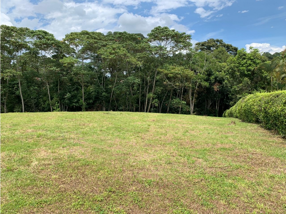 Lote en venta - Via Cerritos - 5