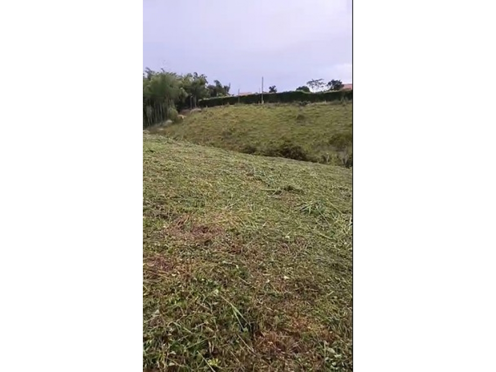 Lote en venta - Pereira - Sector Cerritos — foto 5