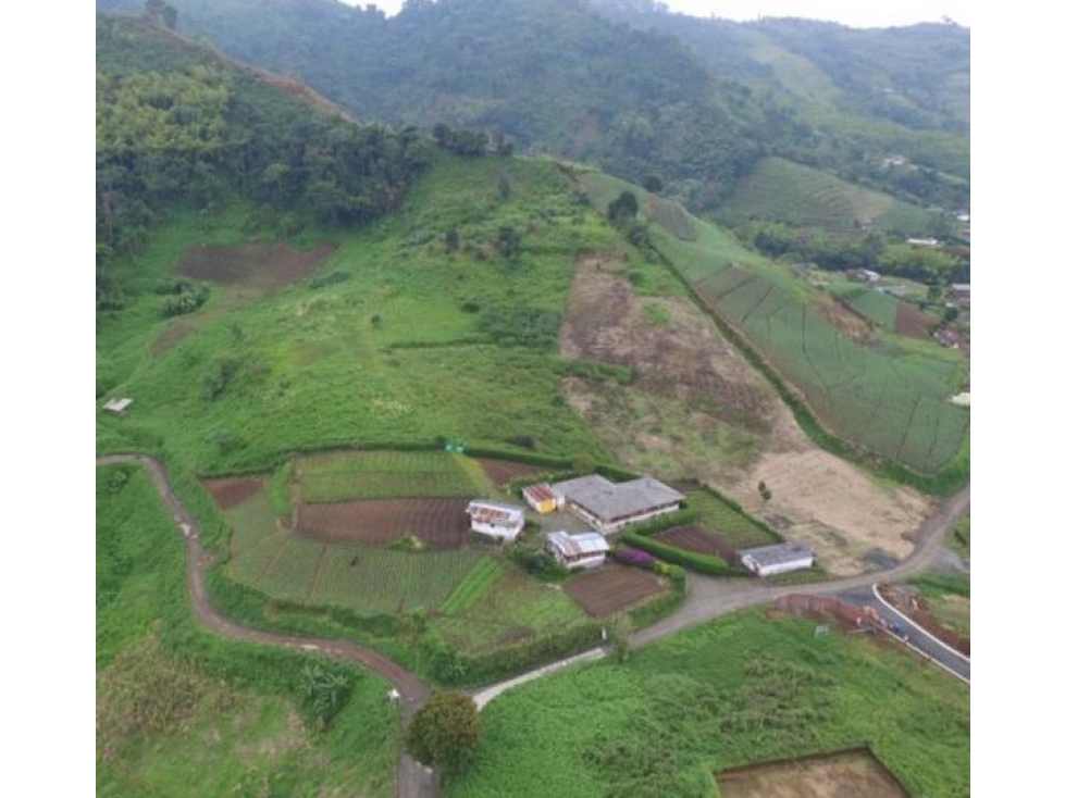 Lotes en venta La Florida, Provenza — foto 4
