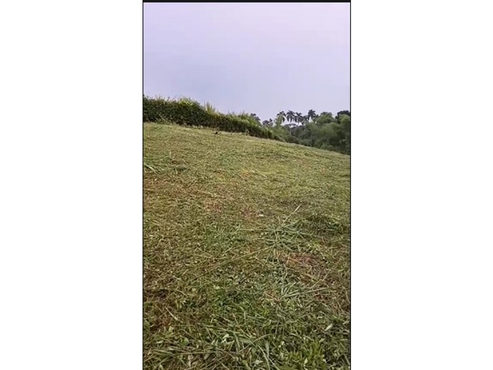 Lote en venta - Pereira - Sector Cerritos — foto 6