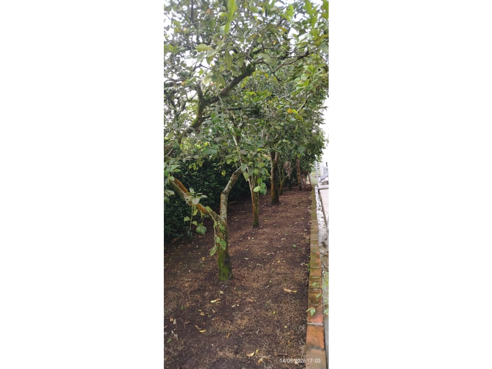 Casa campestre en venta San José de las Villas, Cerritos — foto 4